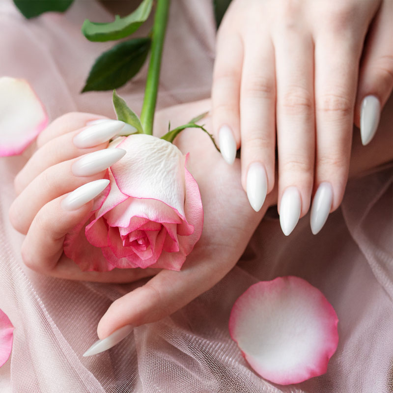 Nail Lab of Greensboro